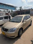 Toyota Corolla RunX 2007 Gold - 5