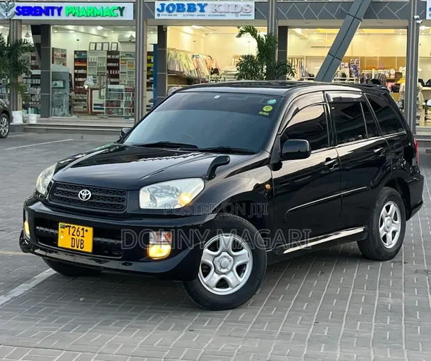 Toyota RAV4 2001 Black - 1