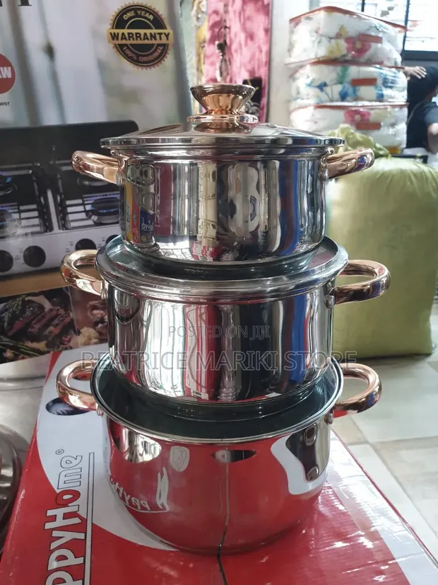 Heavy Stainless Steel Kaisavilla Pot - 1