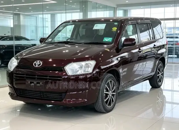 Toyota Probox 2015 Maroon - 1