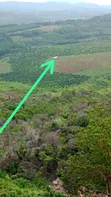 Shamba la Avokado 200 Ekari Linauzwa Njombe - 3