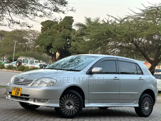 Toyota Allex 2003 Silver - 1