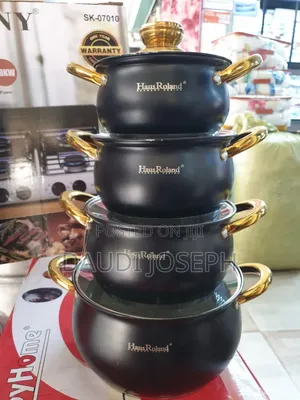 Stainless Steel Induction Pot