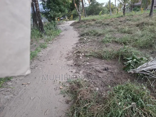 Land for Sale, Kitonga - Msongola. Size 12/15m - 1