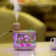 USB Mini Fish Tank Humidifier/Diffuser with LED Light - 2