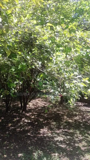 Commercial Land for Sale - Sakina Chini, Arusha