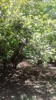 Commercial Land for Sale - Sakina Chini, Arusha - 4
