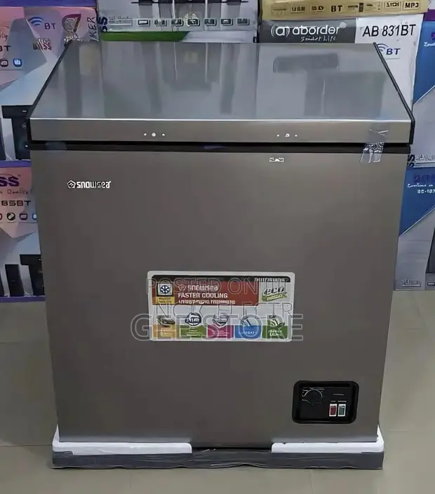 Snowsea 160L Convertible Freezer/Refrigerator - 1