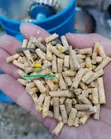 150kg Single Phase Pellet Machine - 3