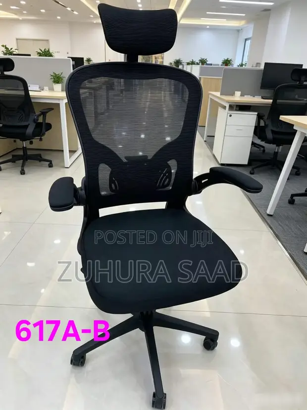Ergonomic Office Chair - Brand New - 1