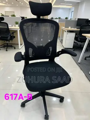Ergonomic Office Chair - Brand New