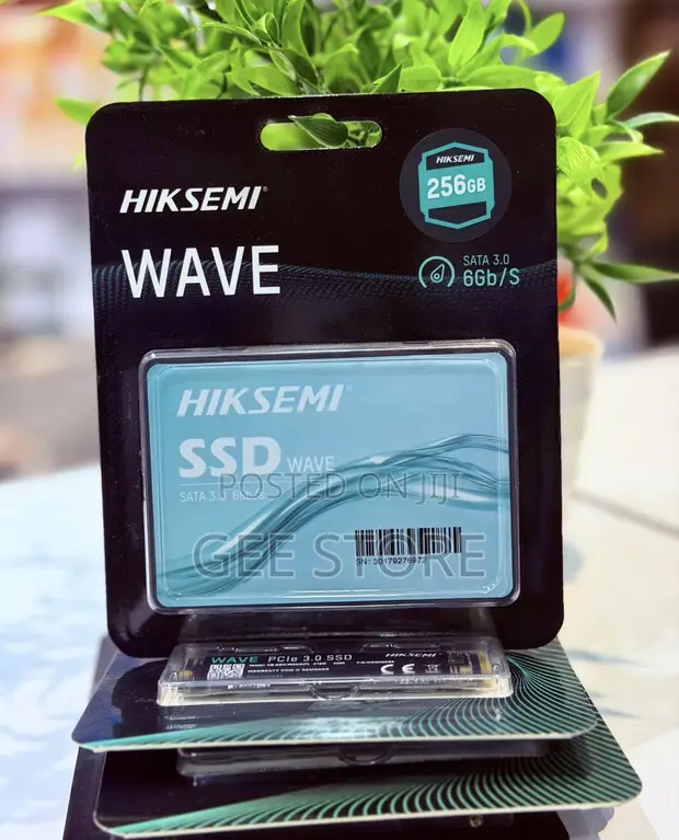 Hiksemi Wave 256GB SATA SSD - 1