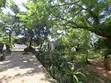 2 Bedroom House for Rent in Oyster Bay - 4