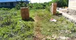 Residential Plot for Sale in Jumbi, Zanzibar - 1