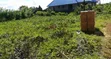 Residential Plot for Sale in Jumbi, Zanzibar - 3