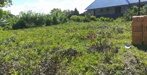 Residential Plot for Sale in Jumbi, Zanzibar