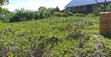 Residential Plot for Sale in Jumbi, Zanzibar - 5