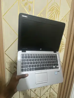 HP EliteBook 820 G3 Laptop - Core i5, 8GB RAM, 256GB SSD