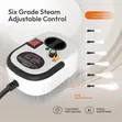 High Temperature Steam Cleaner - 3