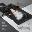 High Temperature Steam Cleaner - 5