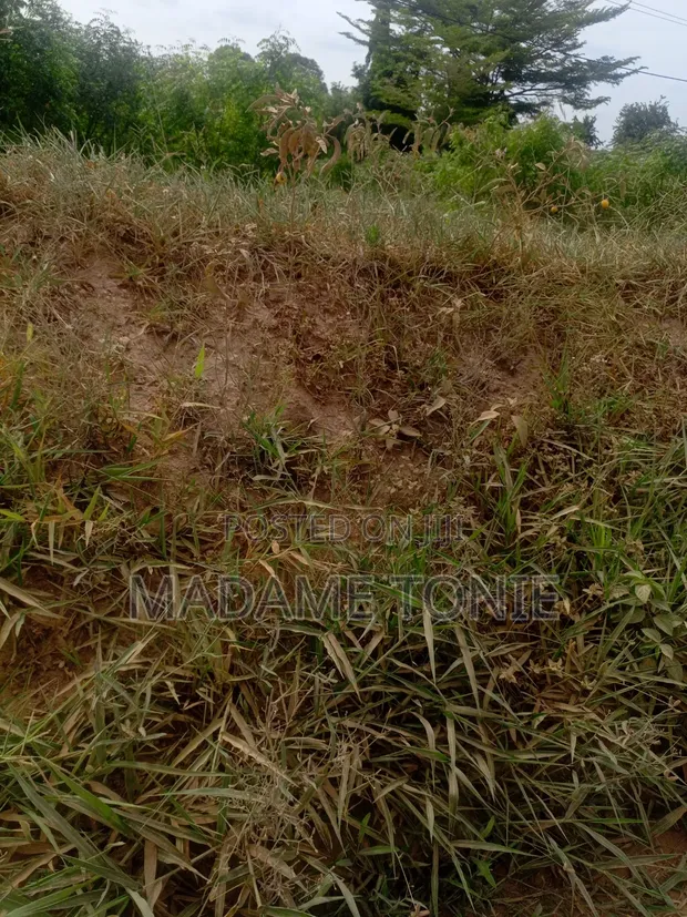 Land for Sale - Kigamboni, Kona Ya Chuo - 1