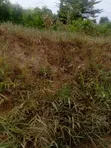 Land for Sale - Kigamboni, Kona Ya Chuo - 1
