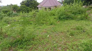 Land for Sale - Kigamboni, Kona Ya Chuo