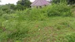 Land for Sale - Kigamboni, Kona Ya Chuo - 2