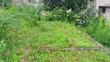 Land for Sale - Kigamboni, Kona Ya Chuo - 3