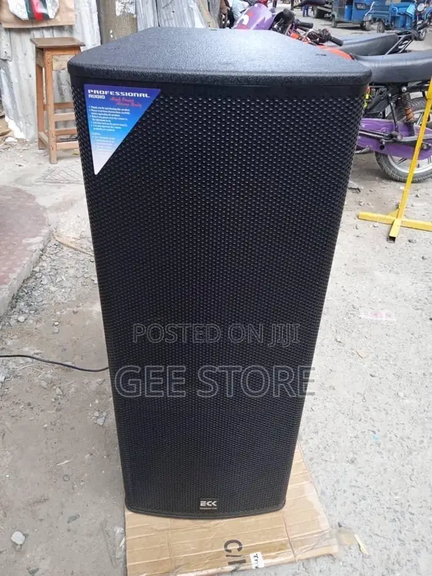 Eck Professional Audio Double Speaker - 1