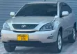 Toyota Harrier 2.4 2006 Beige - 5