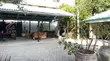 3 Bedroom House for Sale in Mikocheni - 5
