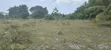 Land for Sale: 2.5 Acres in Bagamoyo Zinga - 2