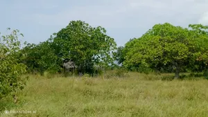 Shamba la Heka 20 Linauzwa Mkwaja, Tanga