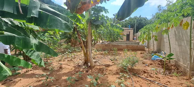 Land for Sale - 2000 sqm, Bunju A Dogodogo Center - 1