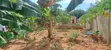 Land for Sale - 2000 sqm, Bunju A Dogodogo Center - 1