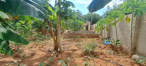 Land for Sale - 2000 sqm, Bunju A Dogodogo Center