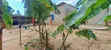 Land for Sale - 2000 sqm, Bunju A Dogodogo Center - 3