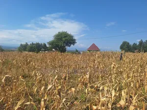 Plot for Sale in Mungushi, Bomang'ombe