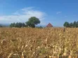 Plot for Sale in Mungushi, Bomang'ombe - 1