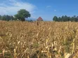 Plot for Sale in Mungushi, Bomang'ombe - 4