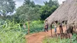 Shamba Linauzwa Mbwewe, Chalinze, Pwani - 5