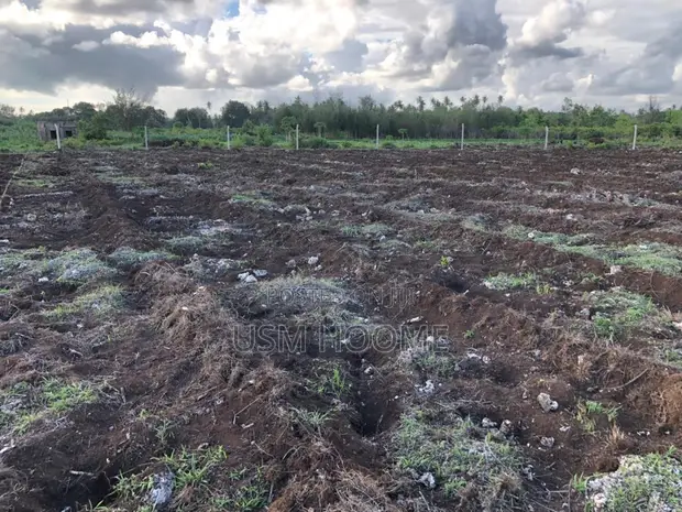 Negotiable: 2 Hectares Equipped Land (Water, Electricity) - Pete, Jozani - 1