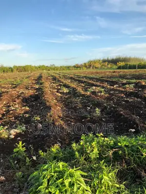Negotiable: 2 Hectares Equipped Land (Water, Electricity) - Pete, Jozani