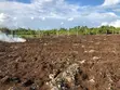 Negotiable: 2 Hectares Equipped Land (Water, Electricity) - Pete, Jozani - 4