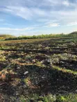 Negotiable: 2 Hectares Equipped Land (Water, Electricity) - Pete, Jozani - 5