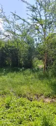 Farmland for Sale in Madaba, Songea - 3