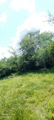 Farmland for Sale in Madaba, Songea - 4