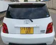 Toyota IST 2004 Pearl White - 5