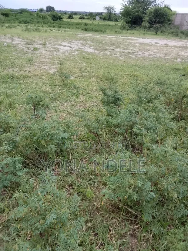 365 Hectares Farmland for Sale, Njombe Lupembe - 1